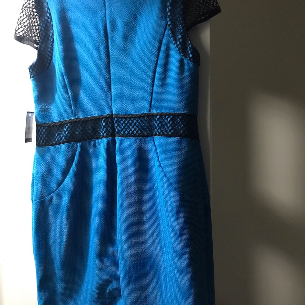 *NWT* Beautiful Dress with mesh detailing - Picture 7 of 9